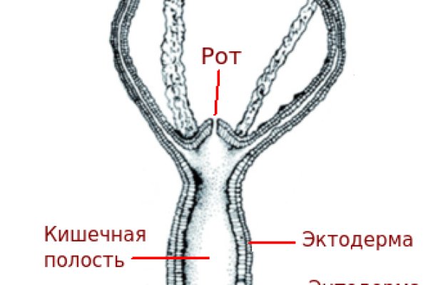 Kraken tor onion зеркало