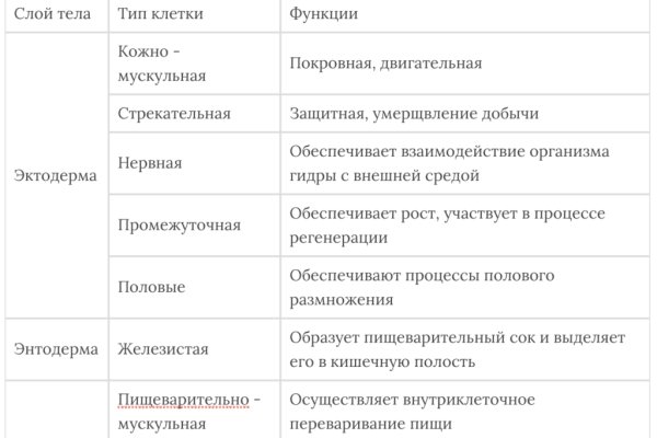 Кракен сегодня сайт зеркало
