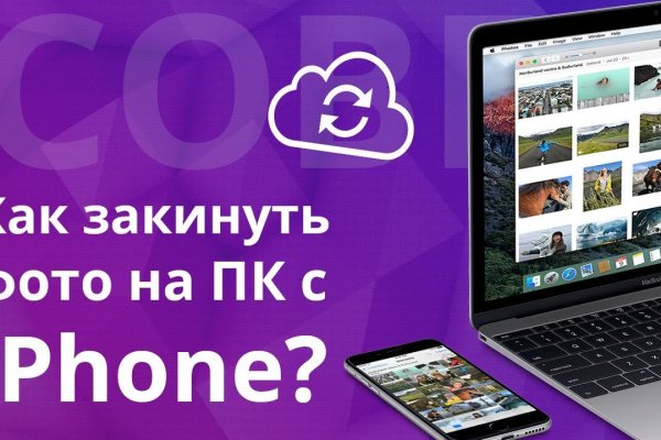 Kraken darknet зеркала