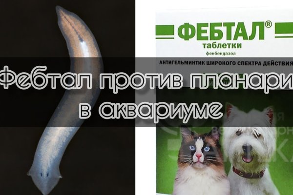Кракен даркнет не работает